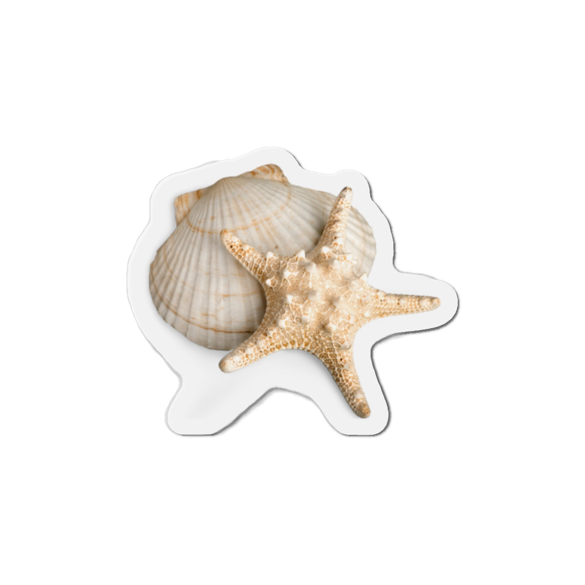 Seashell Starfish Die-Cut Magnet — Beachy Coastal Decor