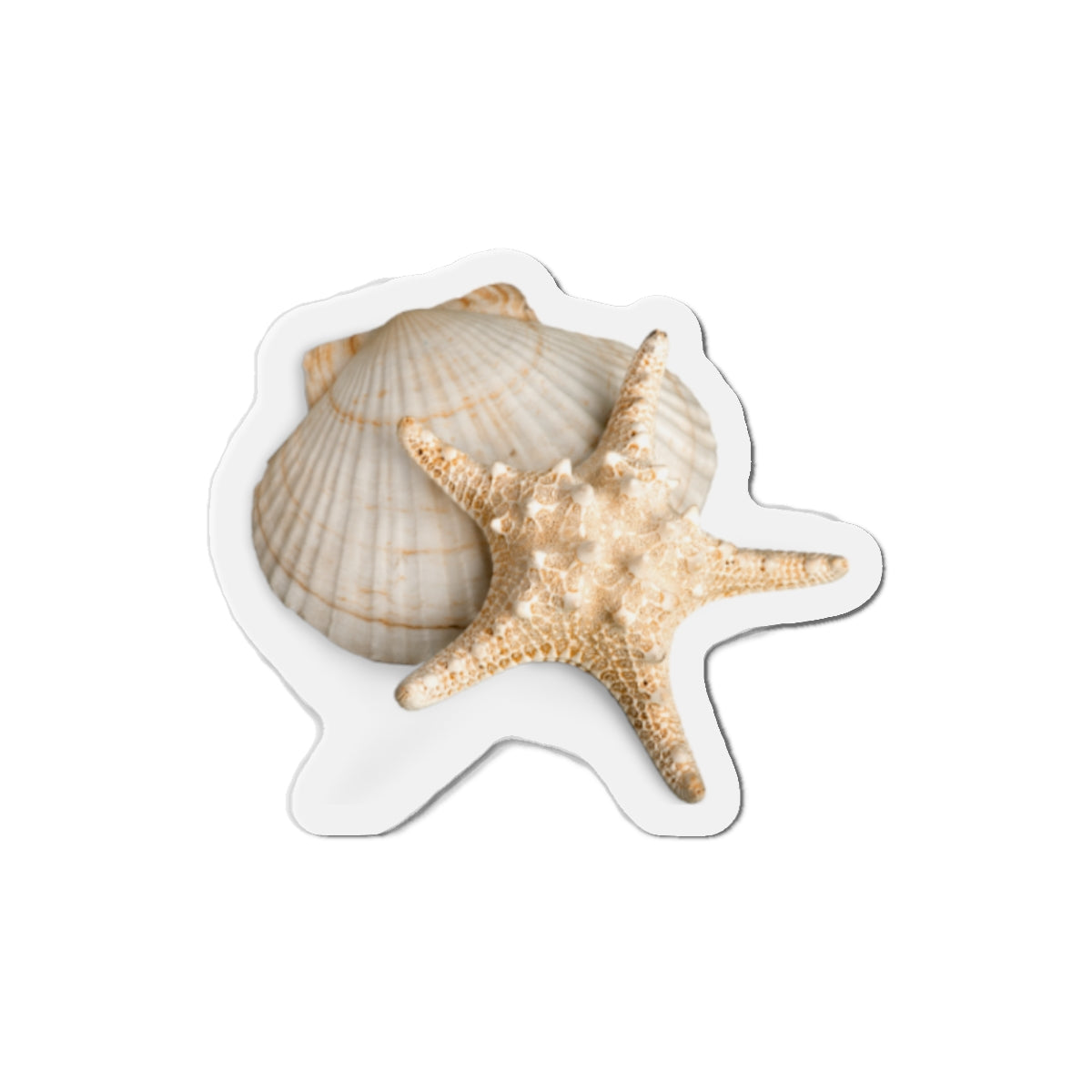 Seashell Starfish Die-Cut Magnet — Beachy Coastal Decor