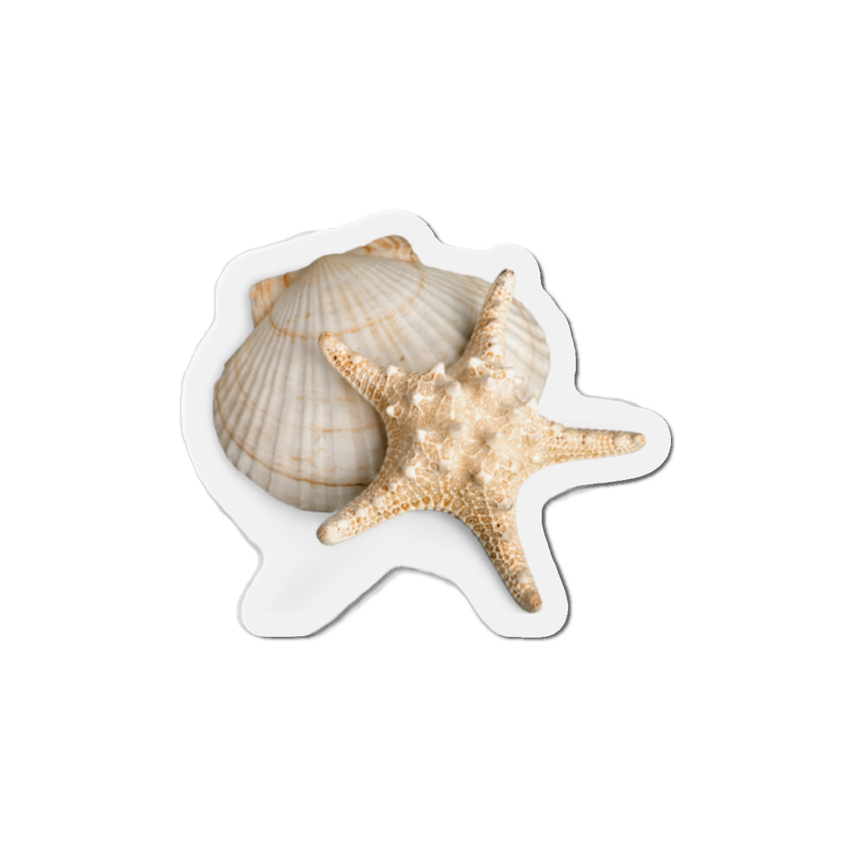 Seashell Starfish Die-Cut Magnet — Beachy Coastal Decor